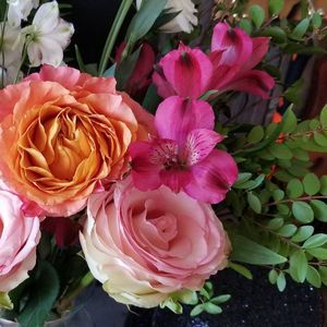 Meet your Posher, Tania